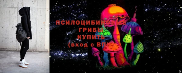 дживик Пересвет