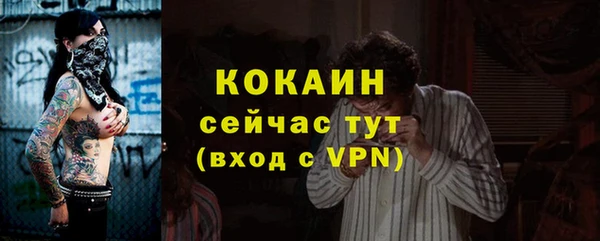 дживик Пересвет