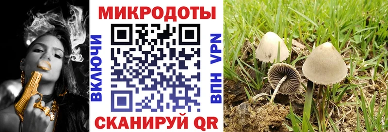 Галлюциногенные грибы GOLDEN TEACHER  цены   Богданович 