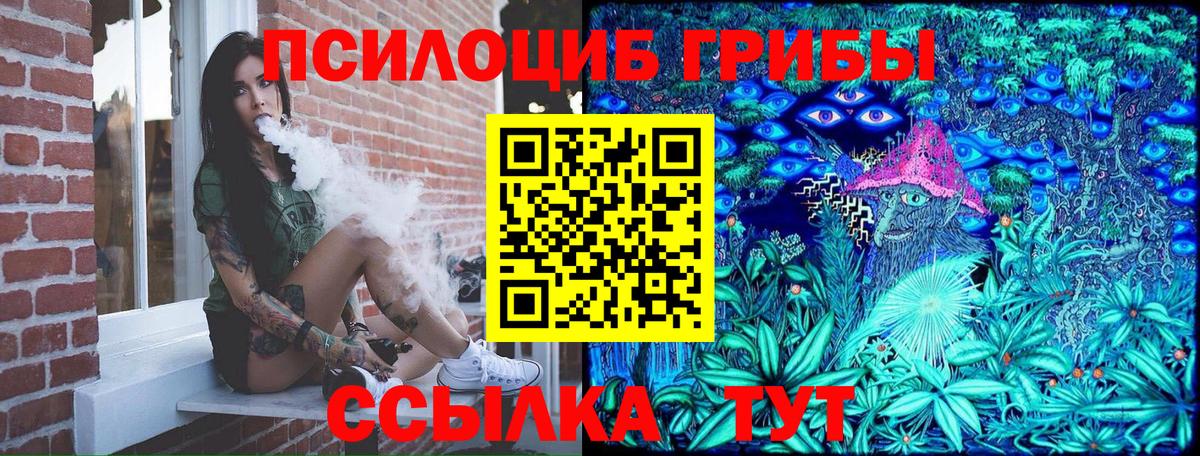 Псилоцибиновые грибы прущие грибы  Вход с VPN  Богданович 